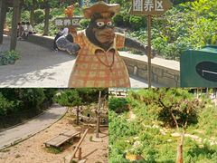 -大连森林动物园