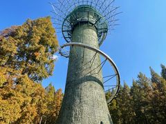 -黄海国家森林公园