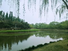 -大兴滨河森林公园