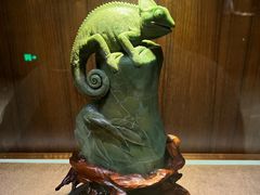 -广州白天鹅宾馆