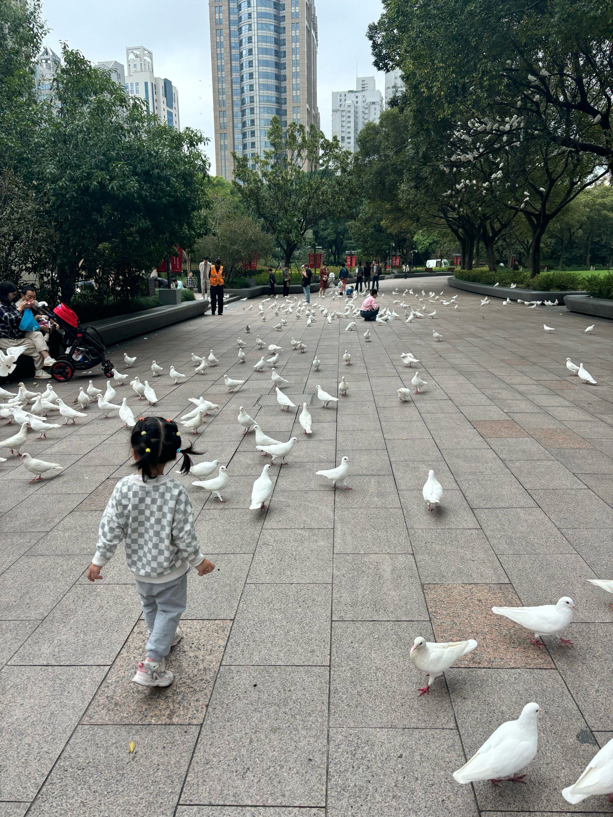 人民广场喂鸽子➕喷泉⛲️