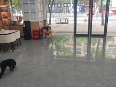 -贝利宠物医院·骨科·眼科·肿瘤转诊中心(南坪诊疗中心)