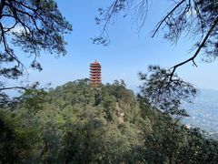 -缙云山景区