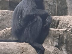 -南昌动物园