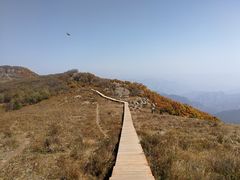 -白草畔自然风景区