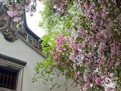 -深圳国际园林花卉博览园