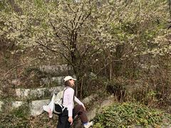 -木兰云雾山