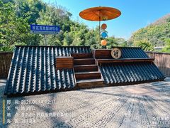 -西双版纳原始森林公园