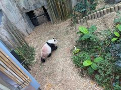 -河川生态园