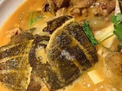 -洞庭家宴·头牌甲鱼(广渠门店)