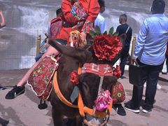 -陕西黄河壶口瀑布旅游区