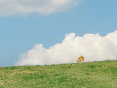-良渚古城遗址公园