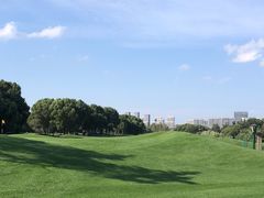 -银涛高尔夫练习场(徐泾店)