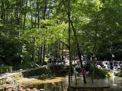 -牛背梁国家森林公园