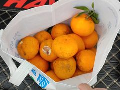 -沼津港精致料理·寿喜烧·烧鸟(青浦宝龙广场日料榜单店)