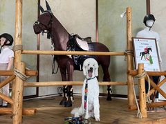 -上海崇明金茂凯悦酒店