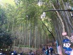 -杭州黄龙洞