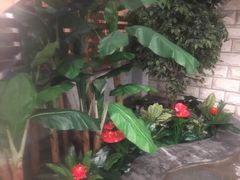 -南宫温泉水世界