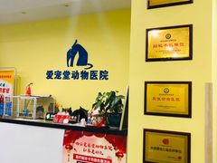 -瑞鹏宠物医院·爱宠堂·骨外专科(西荷分院)