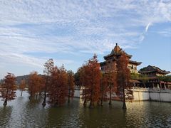 -顺峰山公园