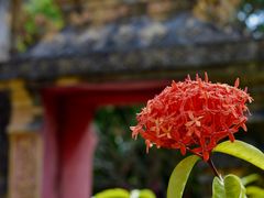 -西双版纳总佛寺