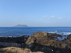 -涉地可支