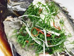 -粤盛海鲜平价店(洛溪食街店)