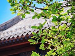 -春风习习