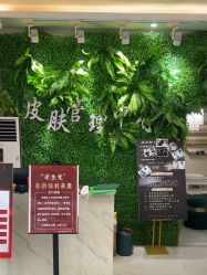 -苗方清颜专业祛痘连锁机构