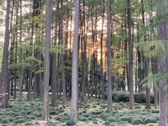 -月湖风景区