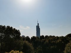-紫峰大厦