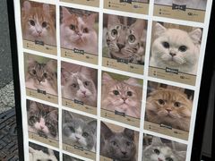 -心斋桥