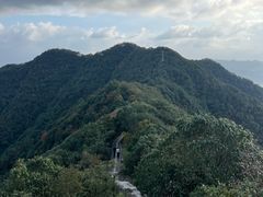 -午潮山国家森林公园