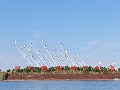 -南大港湿地风景区