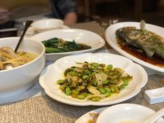 -看见远方·莫干遥远的山民宿