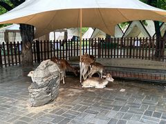-西安秦岭野生动物园