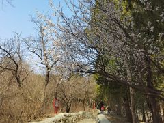 -阳台山自然风景区