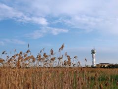-上海吴淞炮台湾国家湿地公园