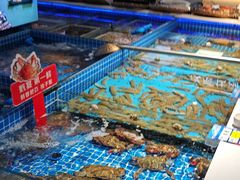 -渔港甄宴·海鲜·地标烟台菜(金沙滩店)