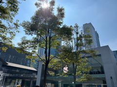 -Apple零售店(成都太古里店)