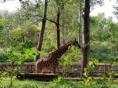-北京野生动物园