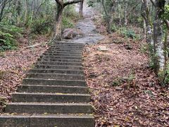 -梧桐山风景名胜区
