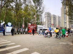 -丁香湖公园