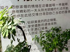 -沏点Trattoria意大利餐厅(新街口店)