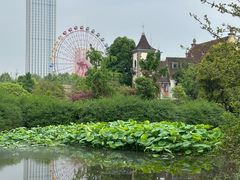 -成都南湖公园