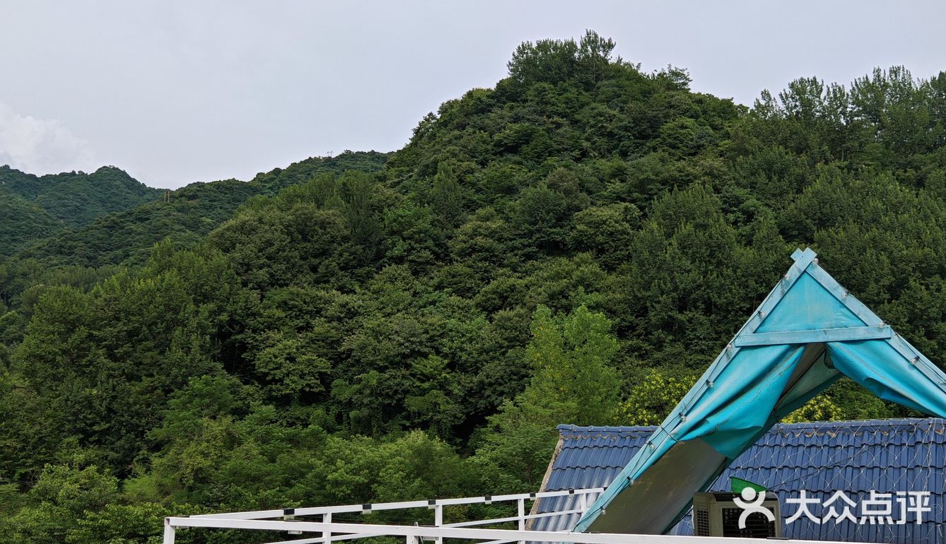 山里的石锅鱼,真好吃