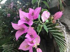 -龙达温泉生态城