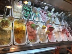 -柠檬车露(卖草地店)