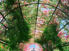 -The Grounds of Alexandria