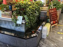 -洞庭家宴·头牌甲鱼(广渠门店)